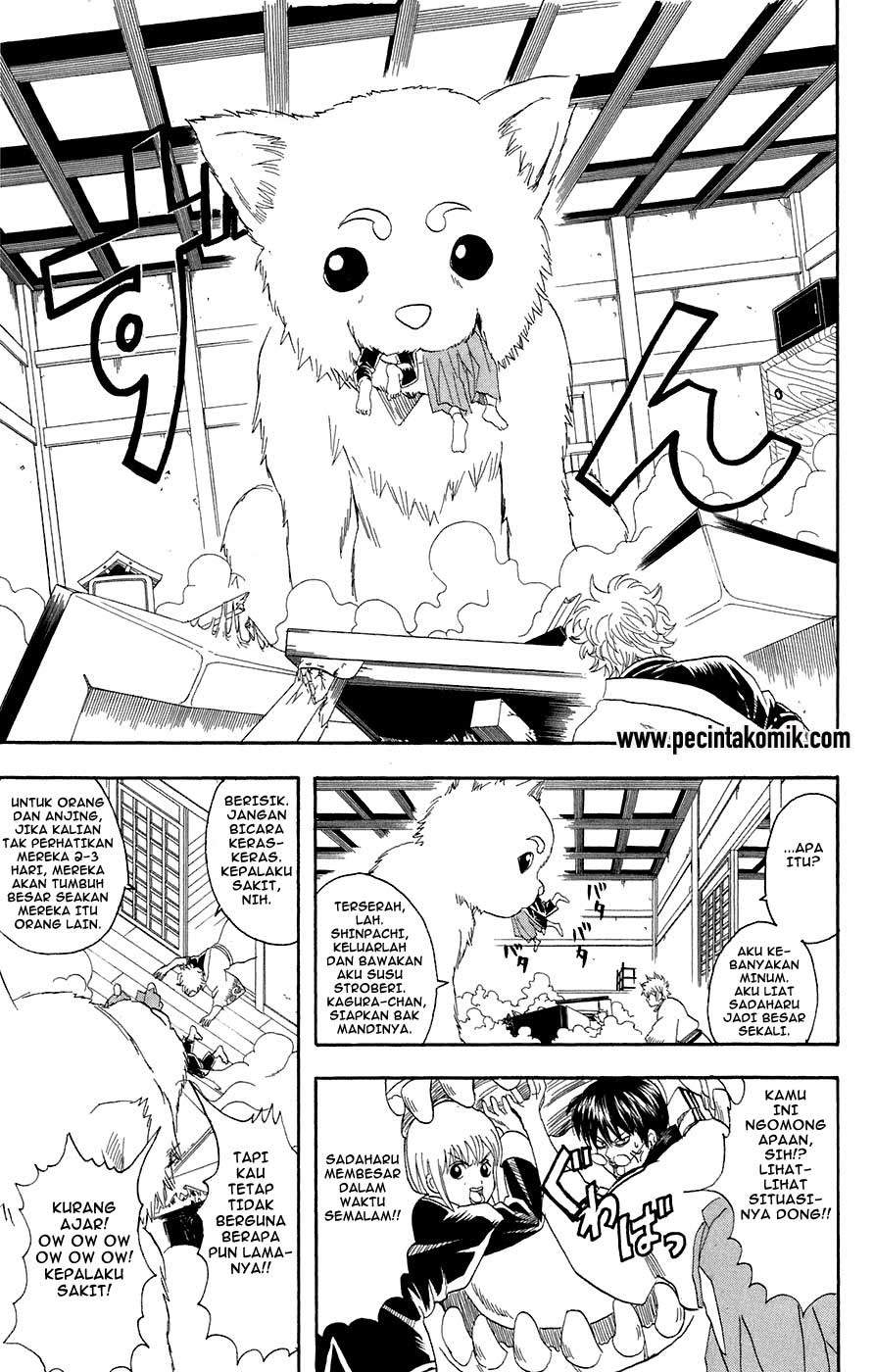 Gintama chapter 71 halaman 6