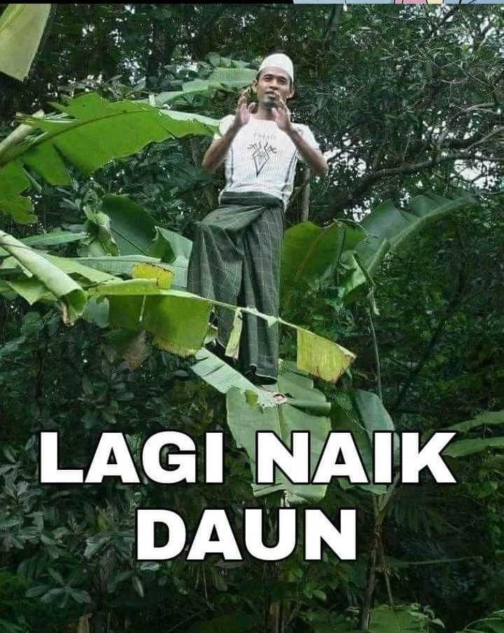 Global Gao Wu Bab 275 halaman 40