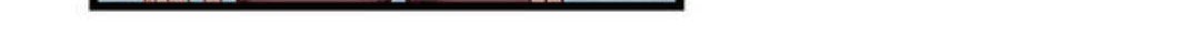 Gold System Bab 52 halaman 9