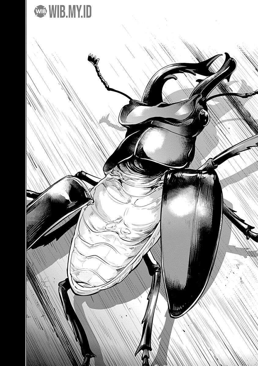 Golden Kamuy chapter 84 halaman 19