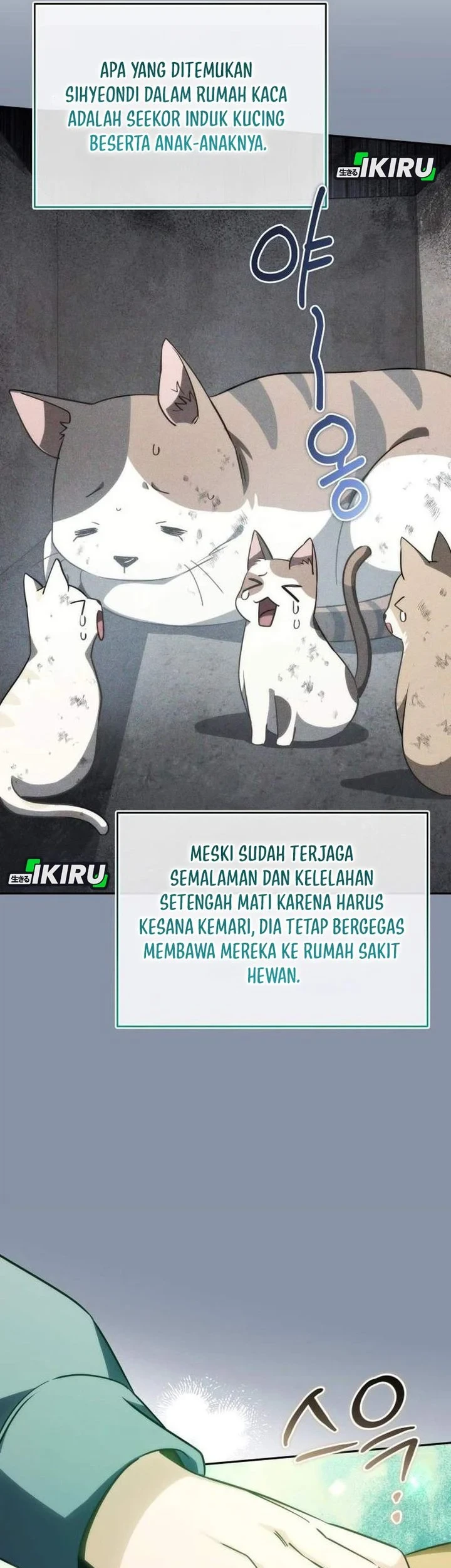 Healing With Drubly Bab 15 halaman 5