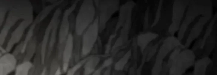 Heavenly Demon Cultivation Simulation Bab 158 halaman 65