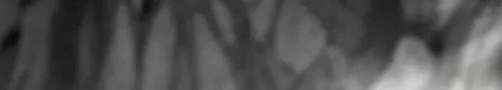 Heavenly Demon Cultivation Simulation Bab 158 halaman 121