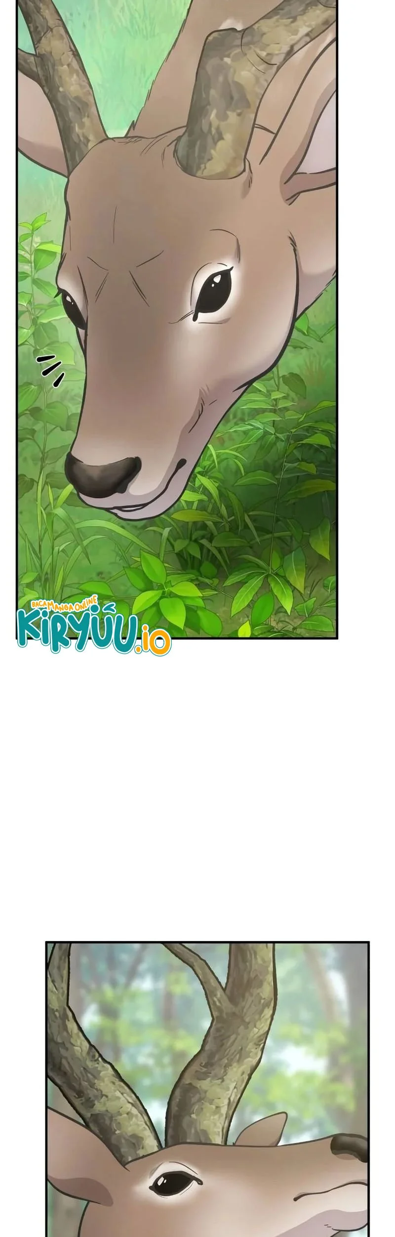 Hello, Fluffy Griffin! Bab 23 halaman 3