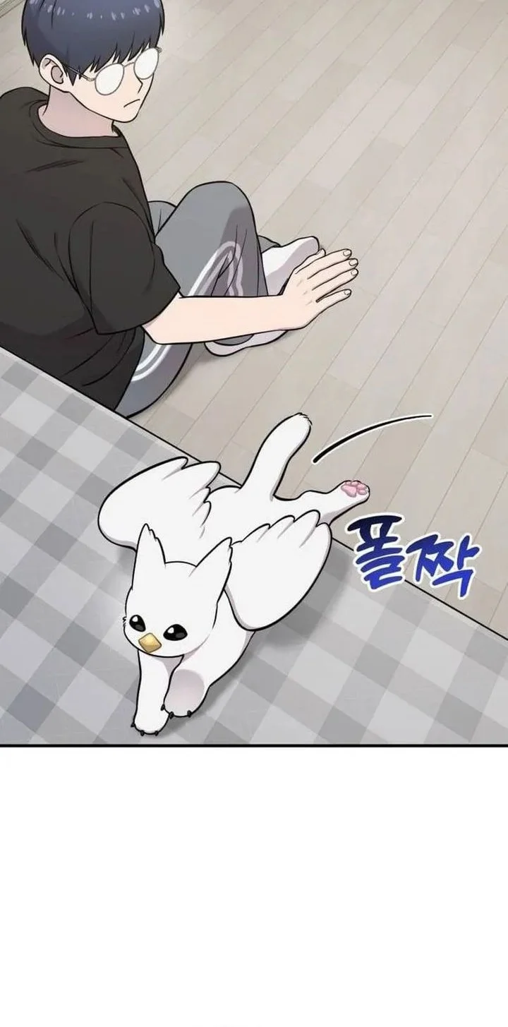 Hello, Fluffy Griffin! chapter 34 halaman 12