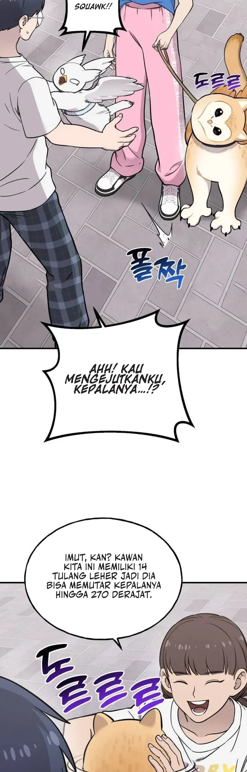 Hello, Fluffy Griffin! Bab 35 halaman 27
