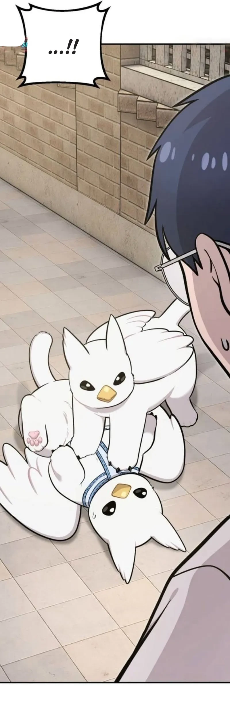 Hello, Fluffy Griffin! Bab 36 halaman 28