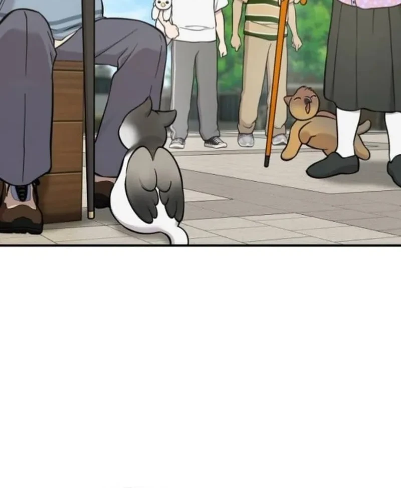 Hello, Fluffy Griffin! Bab 37 halaman 44