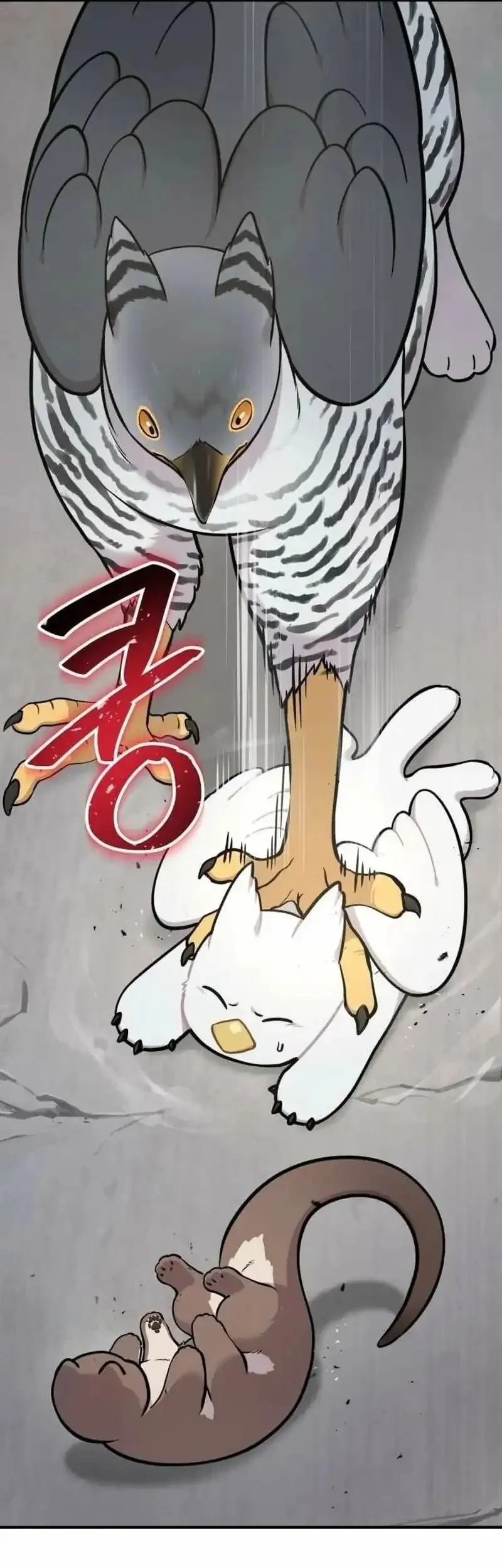 Hello, Fluffy Griffin! Bab 39 halaman 17