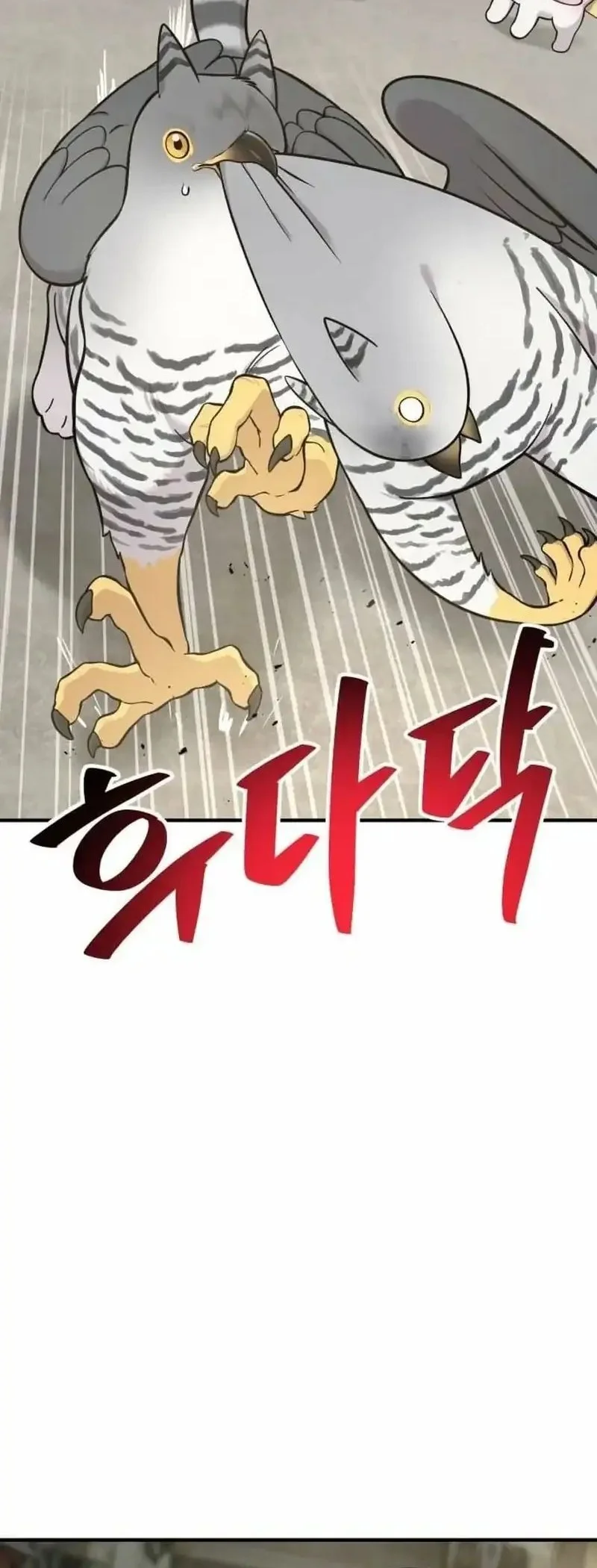 Hello, Fluffy Griffin! Bab 39 halaman 48