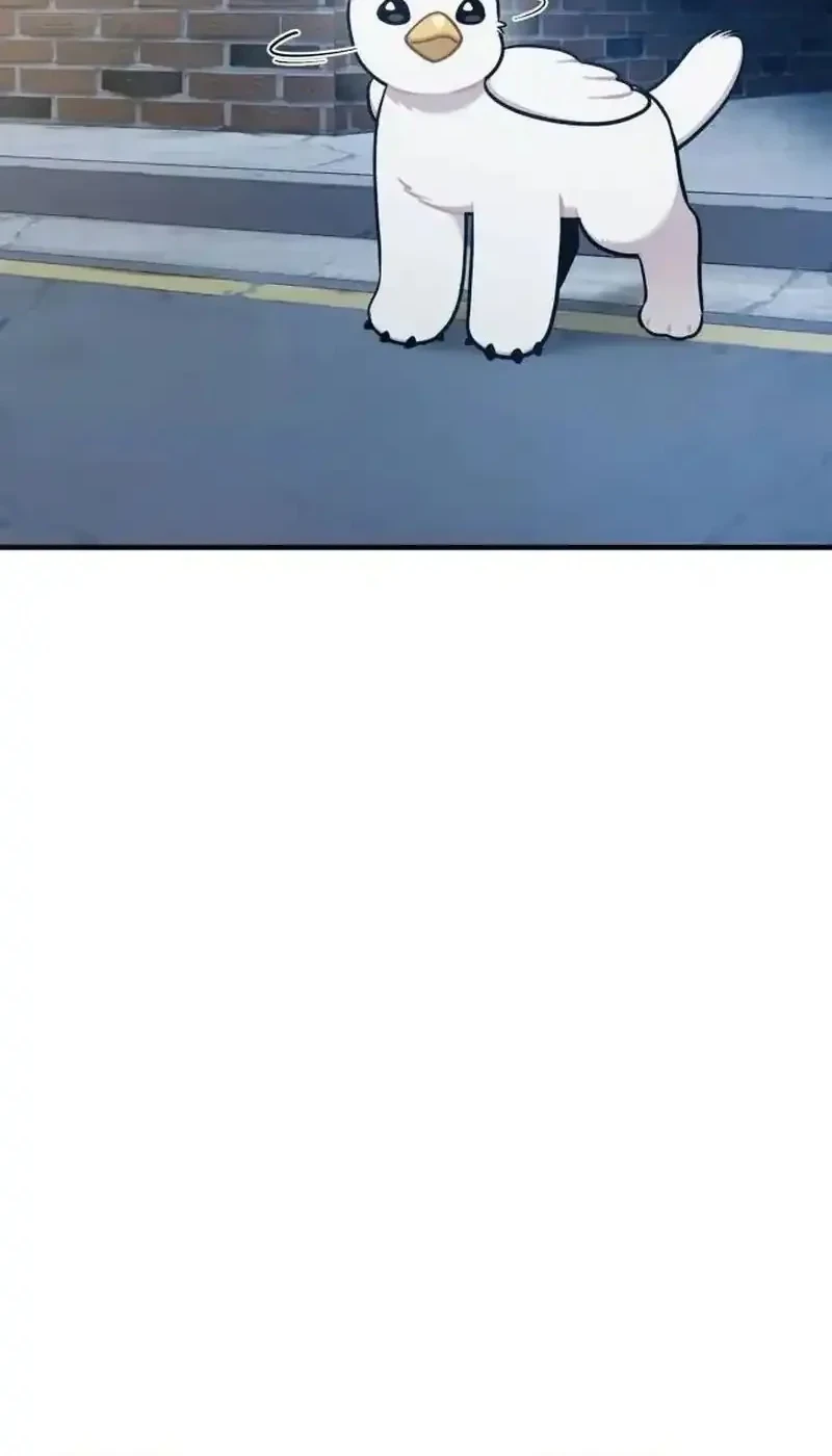 Hello, Fluffy Griffin! Bab 40 halaman 48