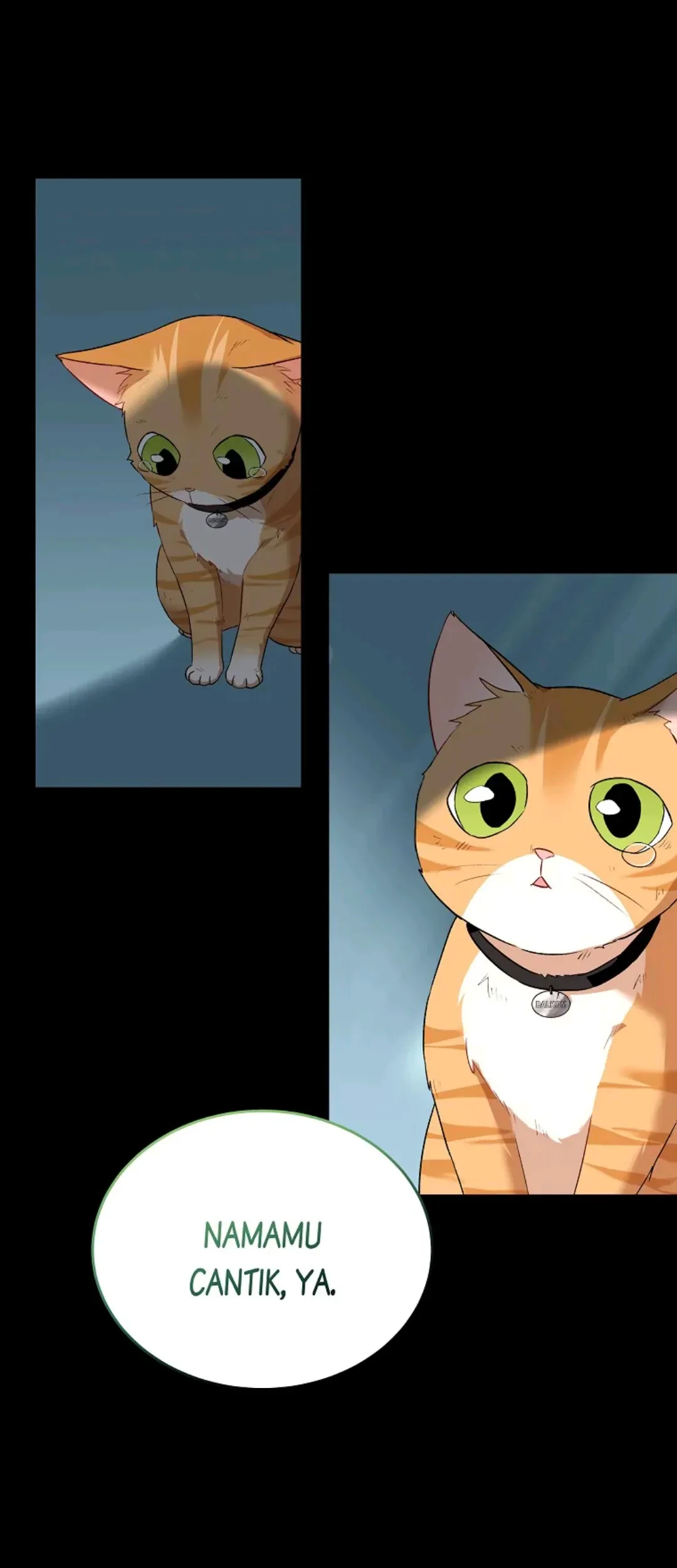 Hello? Veterinarian! Bab 07 halaman 61