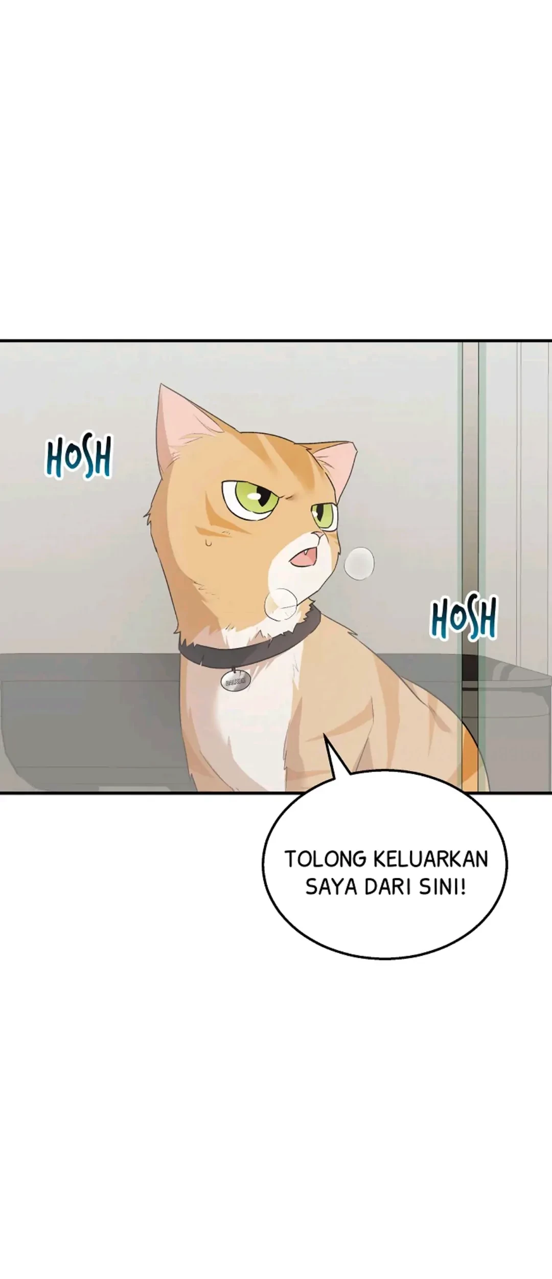 Hello? Veterinarian! Bab 08 halaman 1