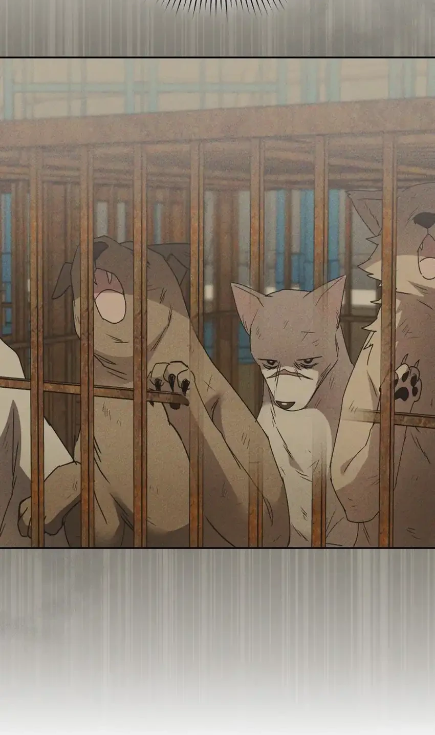 Hello? Veterinarian! Bab 116 halaman 18