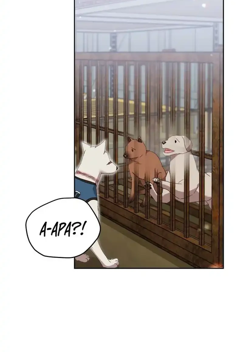Hello? Veterinarian! Bab 118 halaman 26
