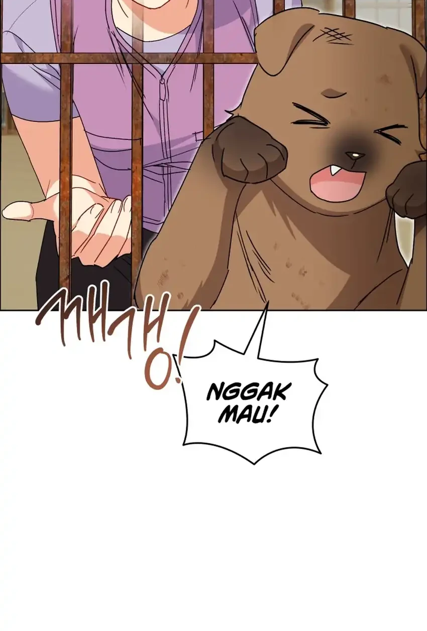 Hello? Veterinarian! Bab 119 halaman 41
