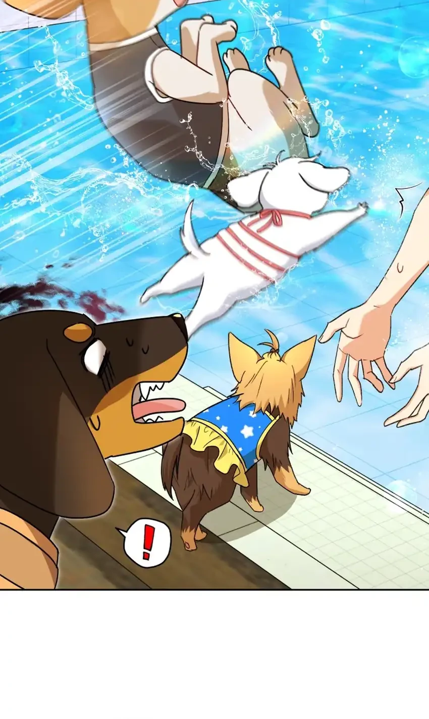 Hello? Veterinarian! chapter 129 halaman 28