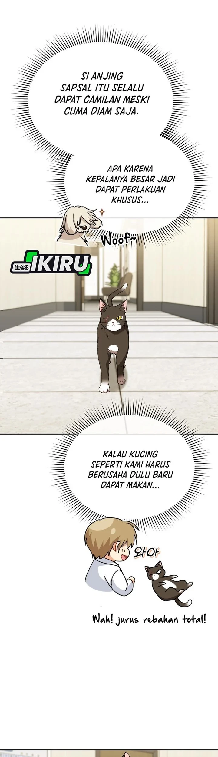 Hello? Veterinarian! Bab 137 halaman 51