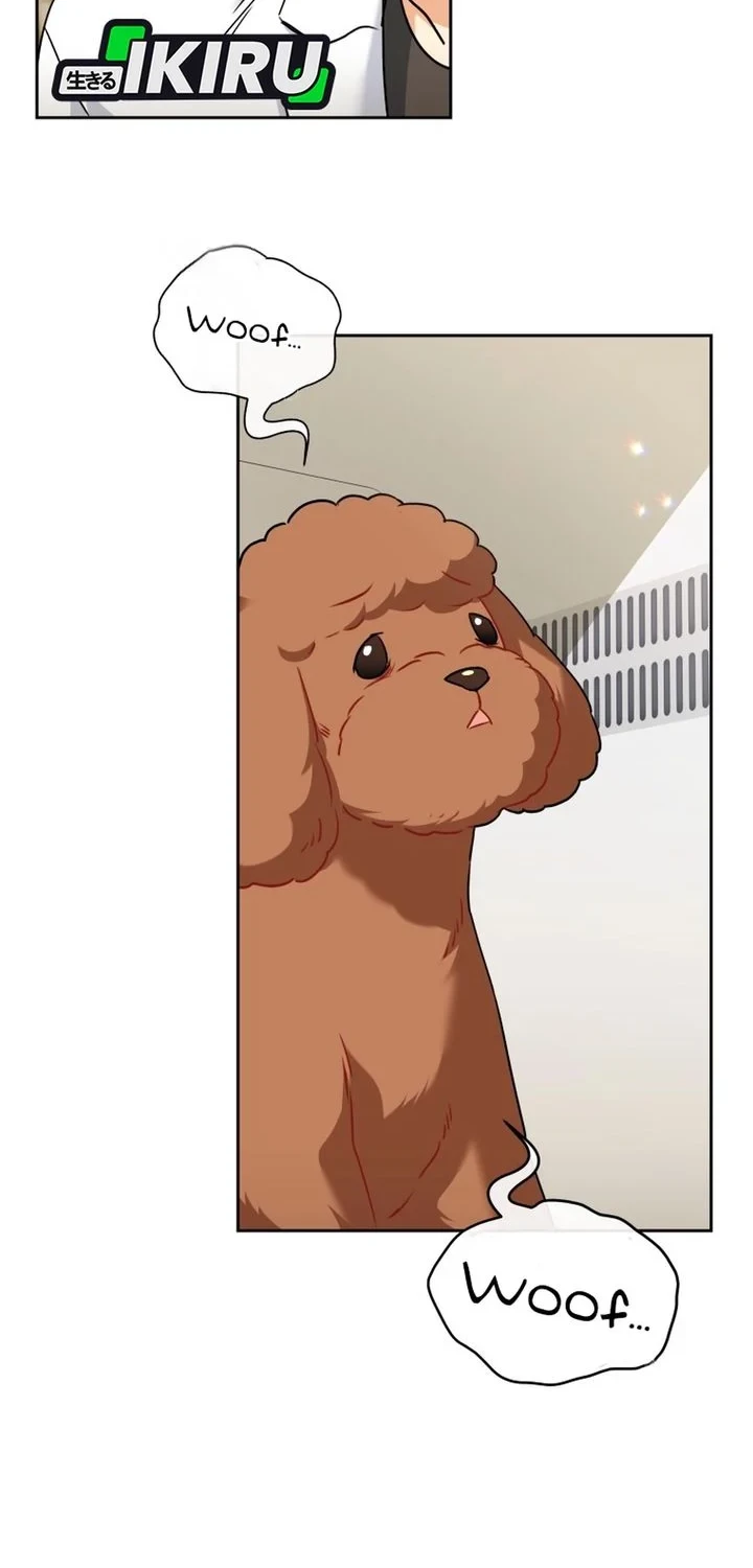 Hello? Veterinarian! chapter 139 halaman 10