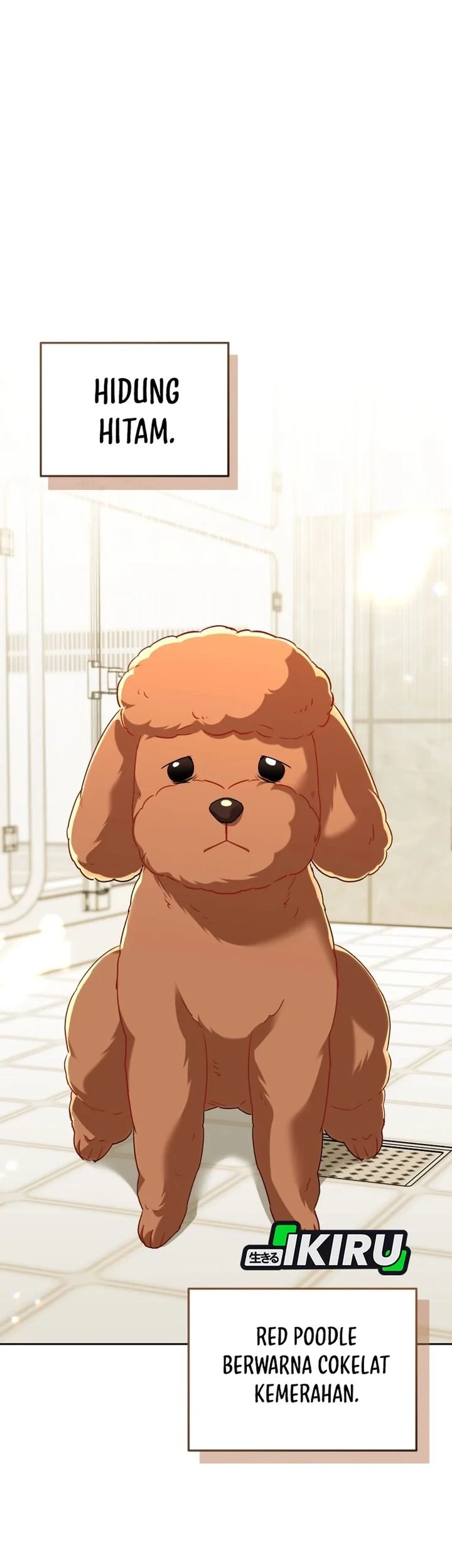 Hello? Veterinarian! chapter 139 halaman 20