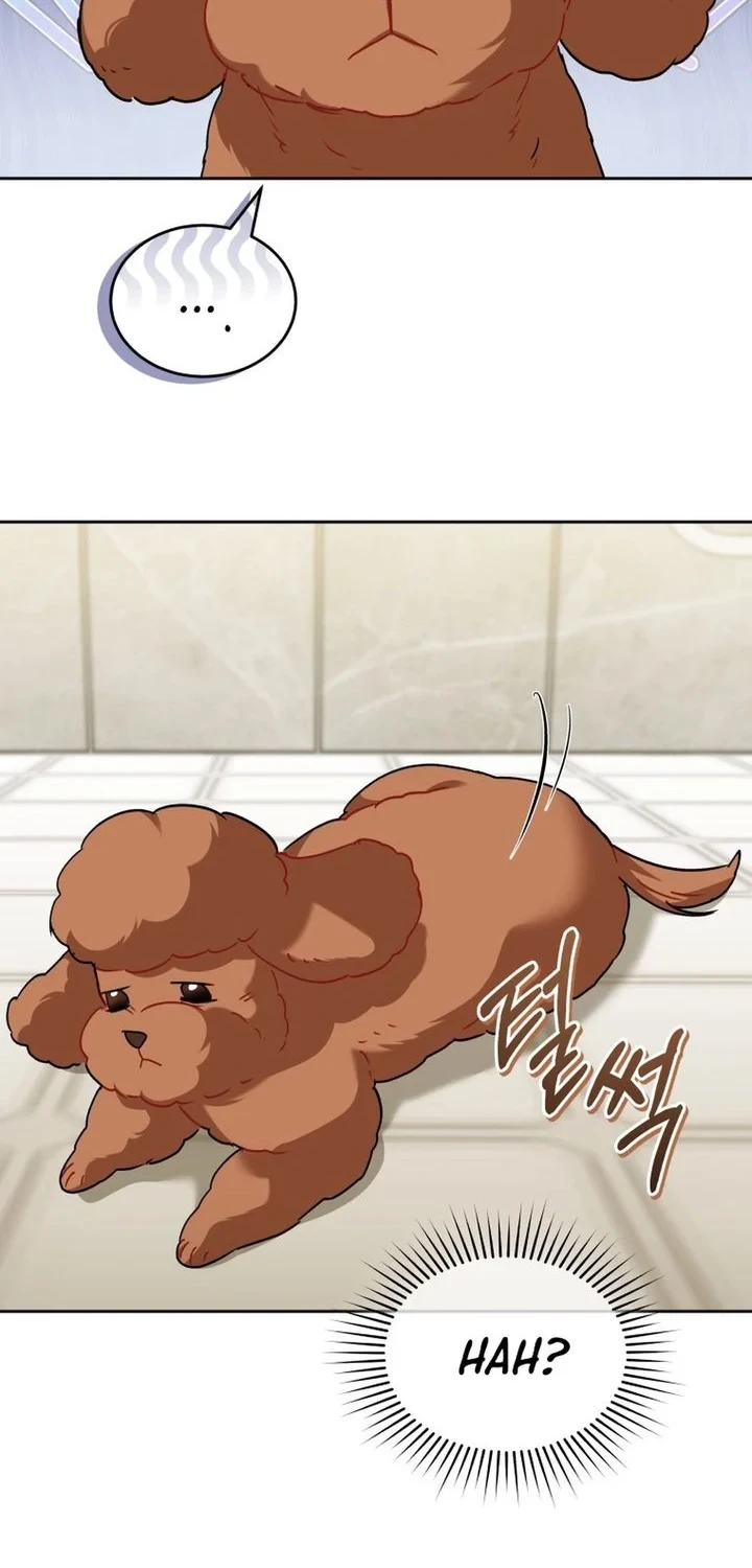 Hello? Veterinarian! chapter 139 halaman 29