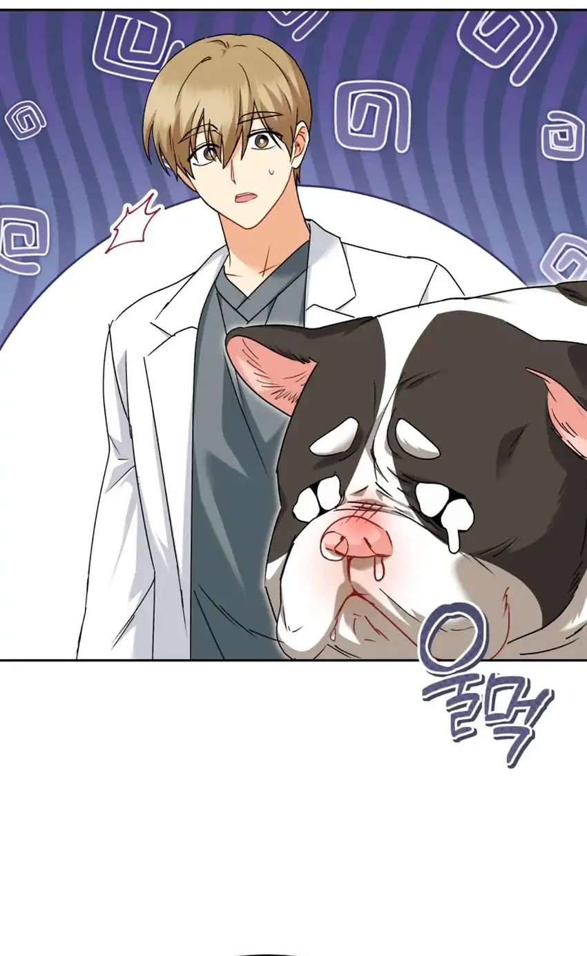 Hello? Veterinarian! Bab 140 halaman 59