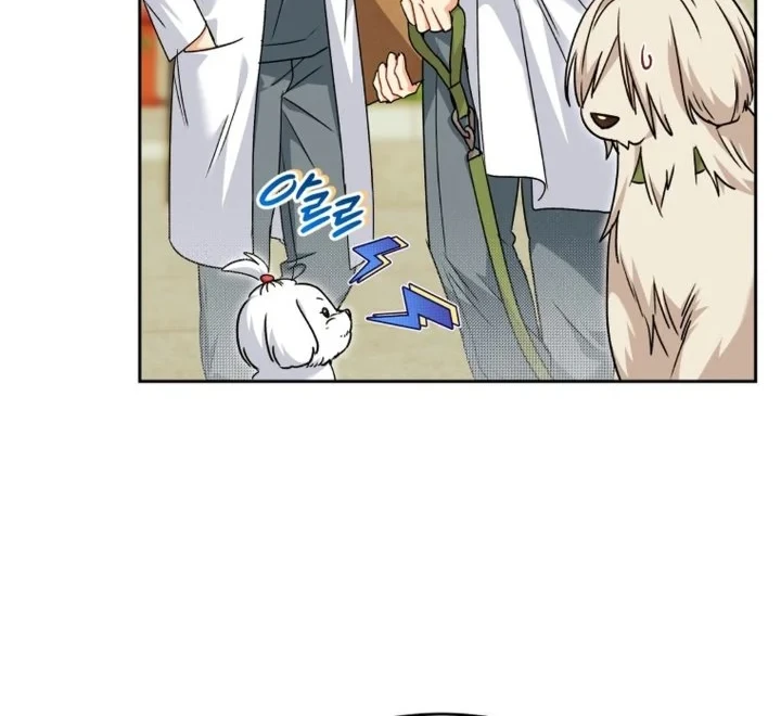 Hello? Veterinarian! Bab 144 halaman 19