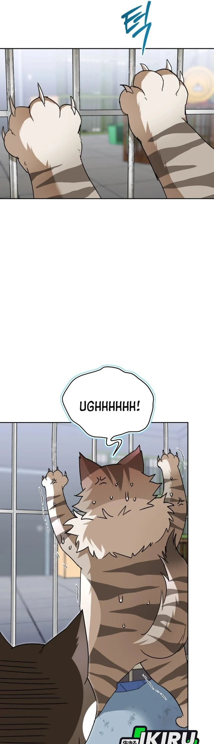 Hello? Veterinarian! Bab 146 halaman 52