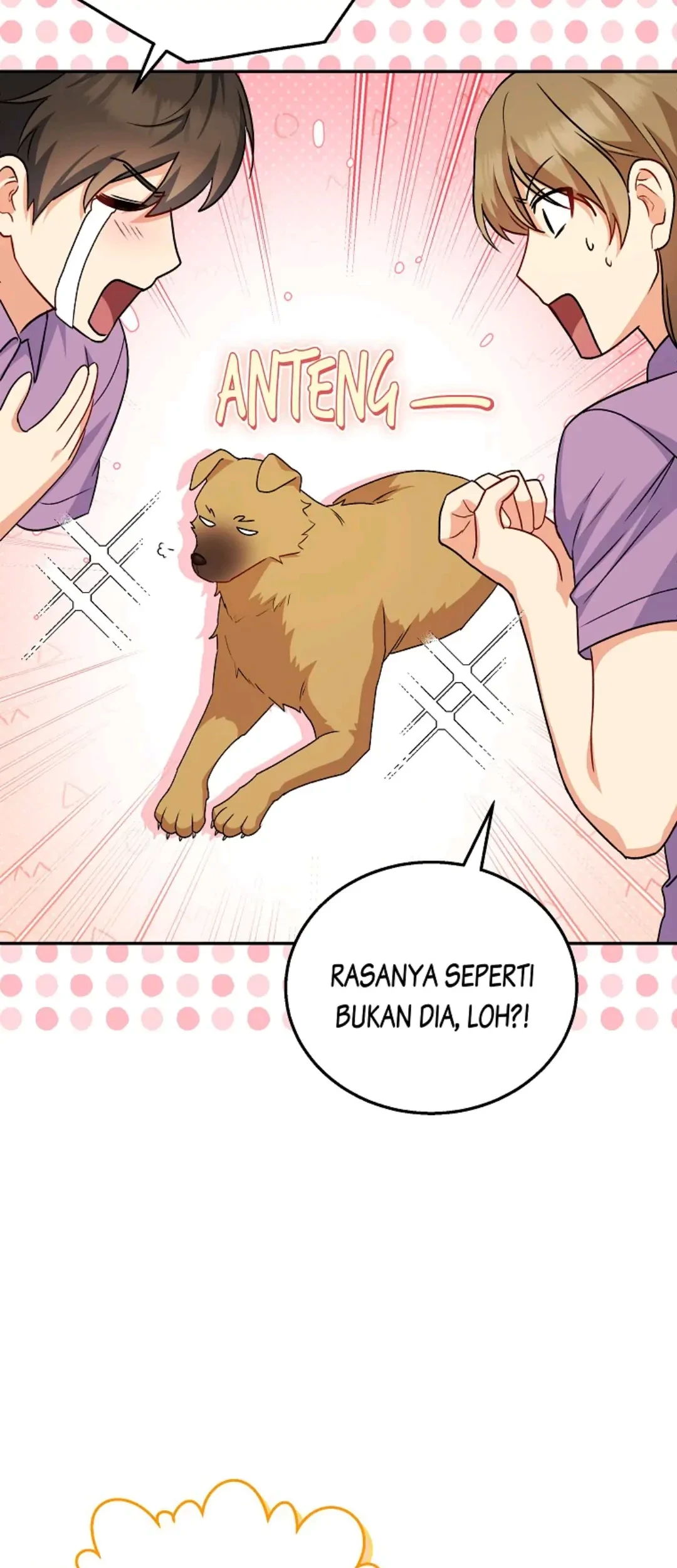 Hello? Veterinarian! Bab 19 halaman 52