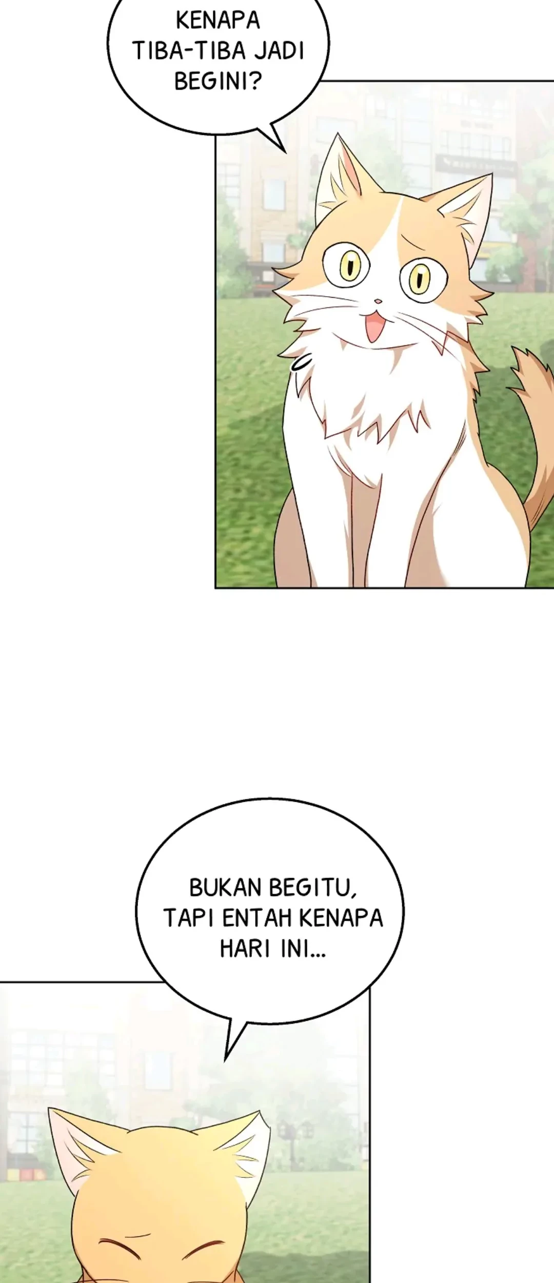 Hello? Veterinarian! Bab 21 halaman 39
