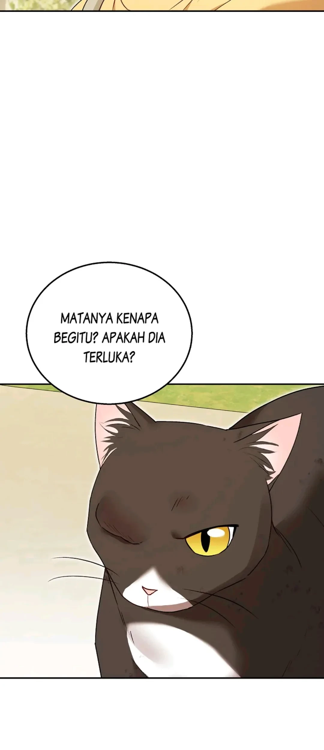 Hello? Veterinarian! chapter 27 halaman 6