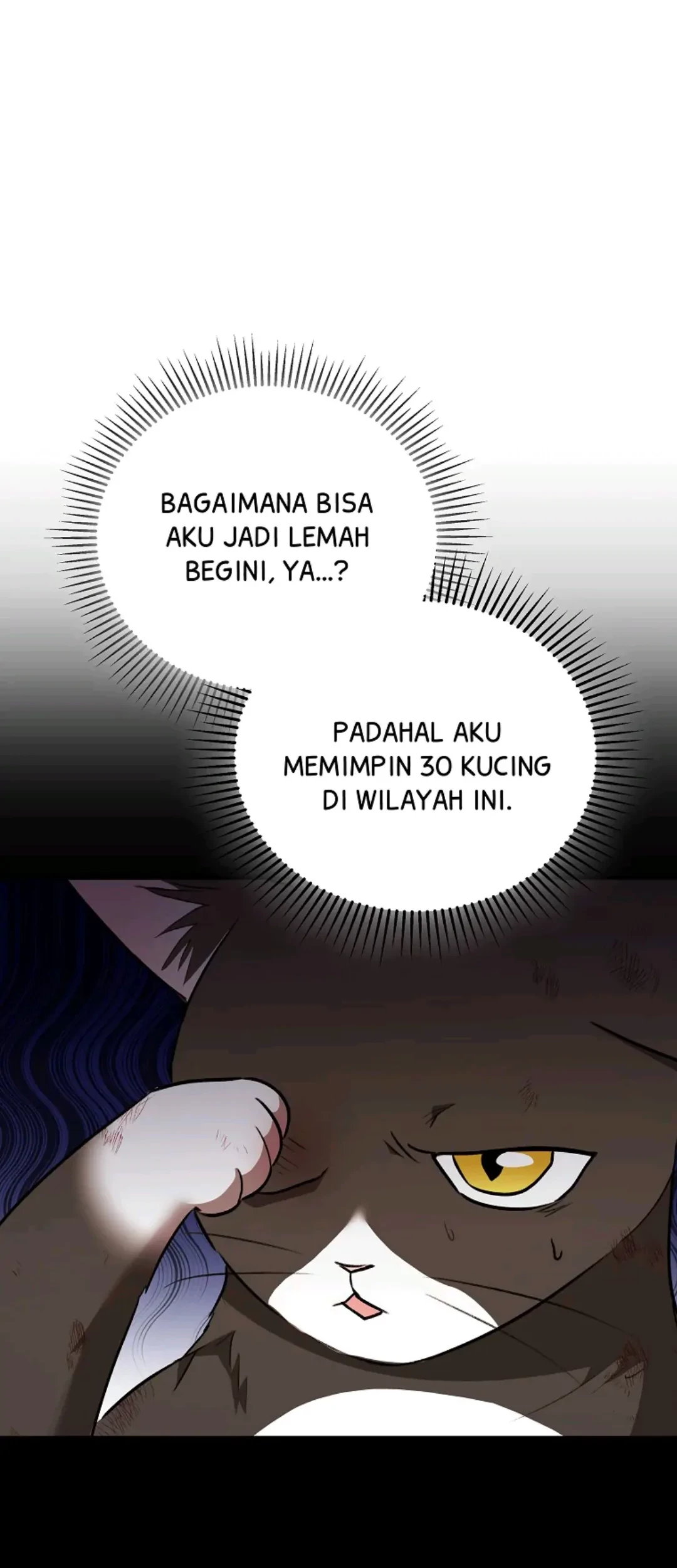 Hello? Veterinarian! chapter 27 halaman 56