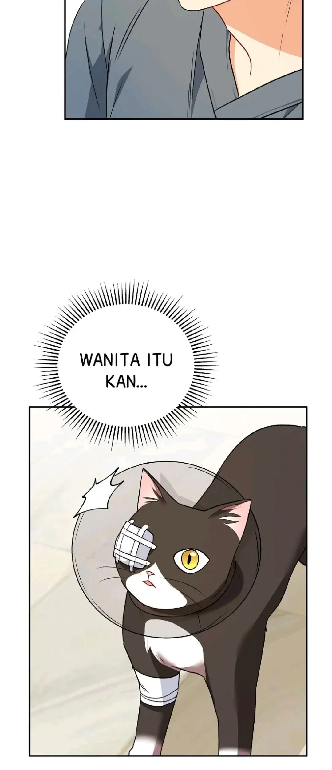 Hello? Veterinarian! Bab 28 halaman 12