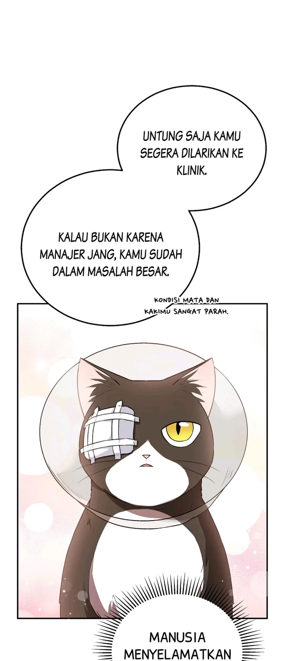 Hello? Veterinarian! Bab 28 halaman 24