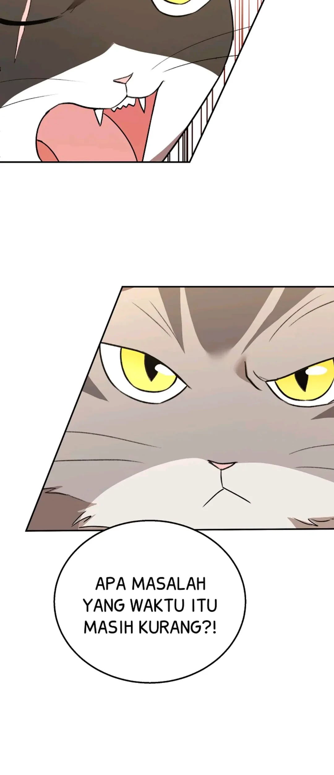 Hello? Veterinarian! chapter 30 halaman 56