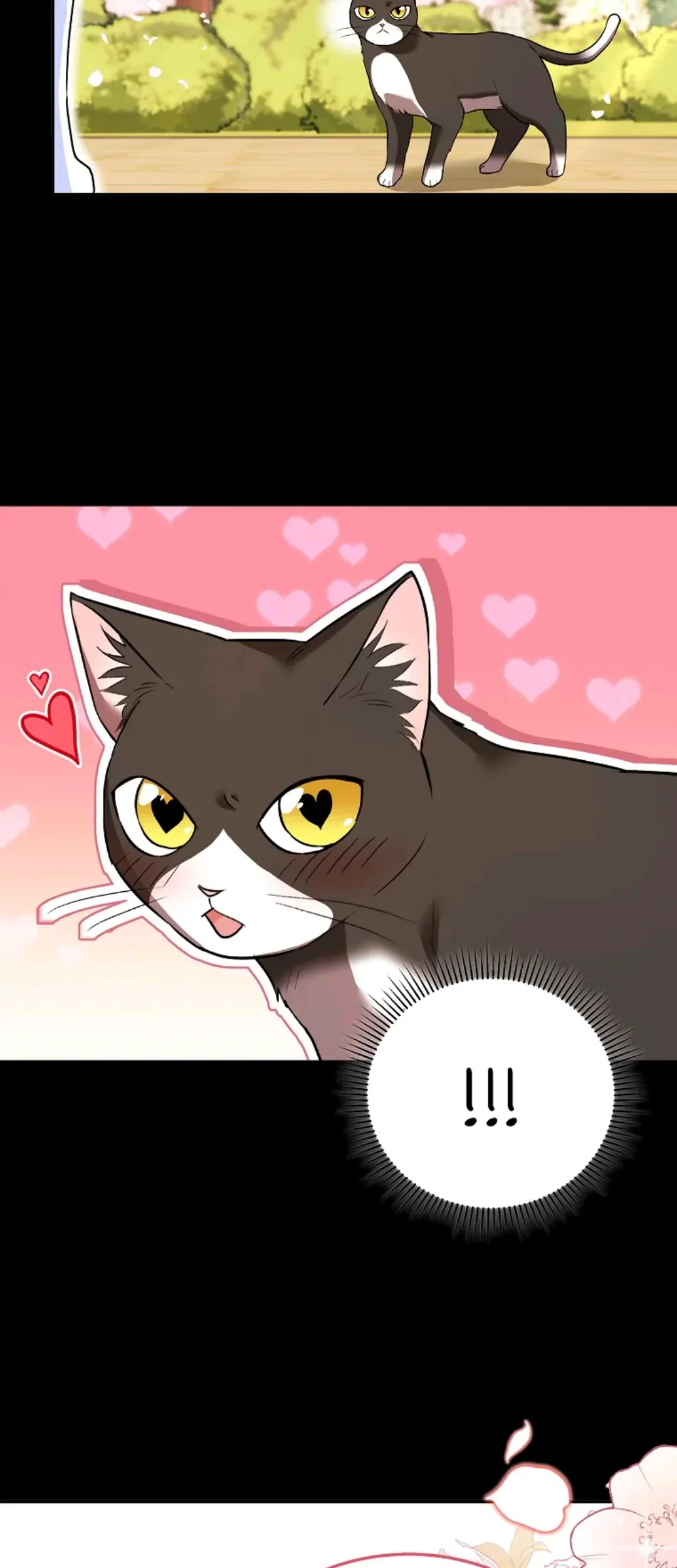 Hello? Veterinarian! chapter 30 halaman 75