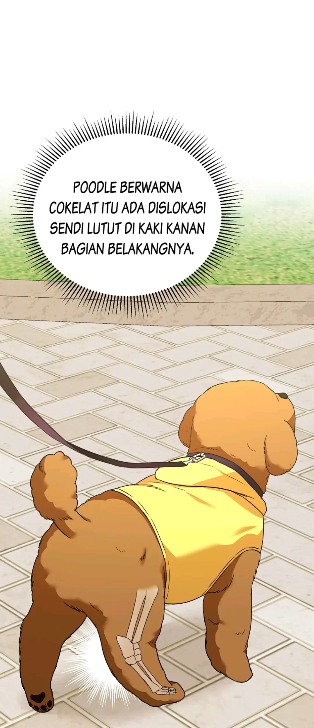 Hello? Veterinarian! Bab 31 halaman 25