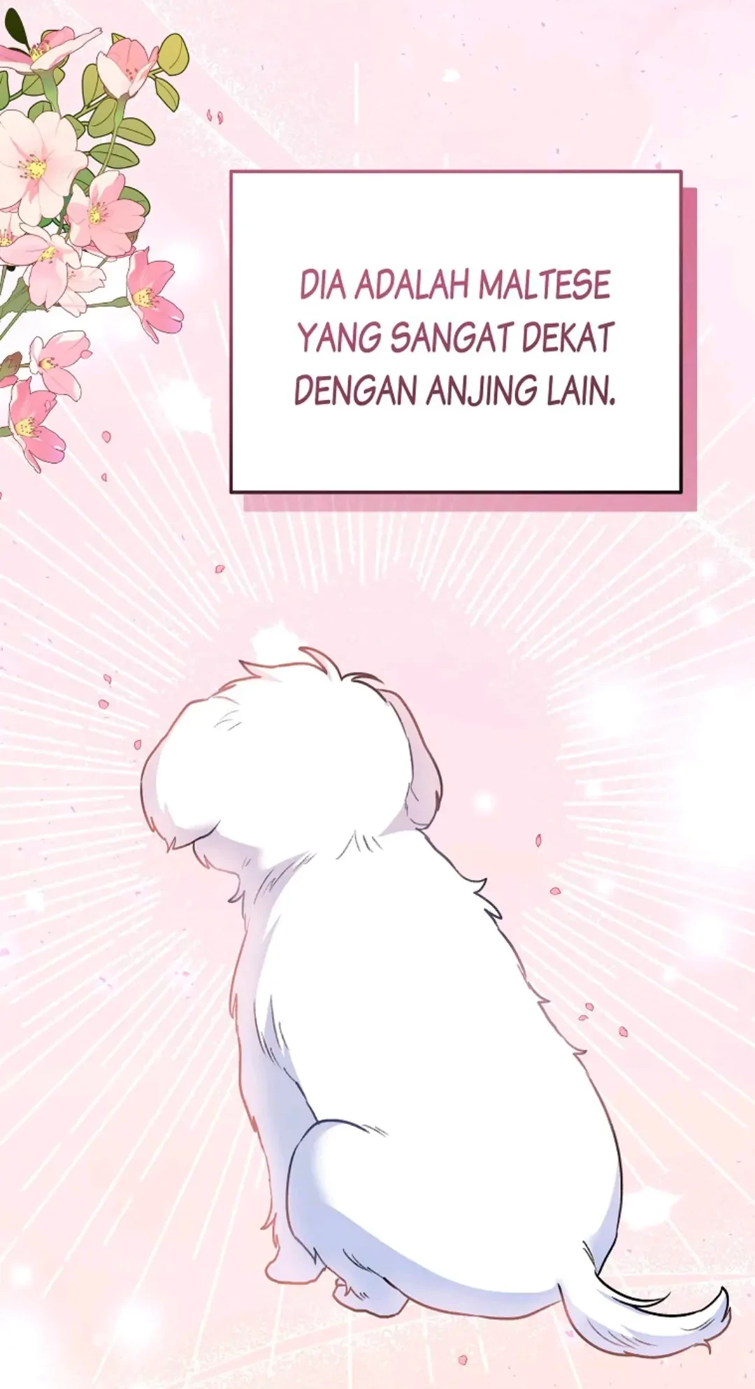 Hello? Veterinarian! Bab 31 halaman 74