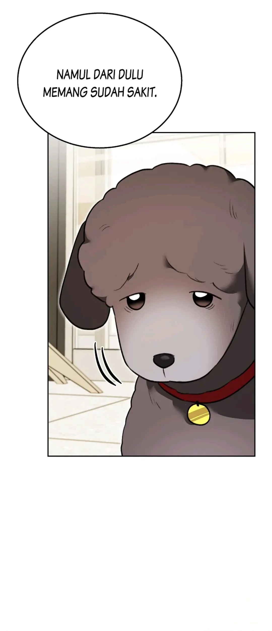Hello? Veterinarian! Bab 34 halaman 12