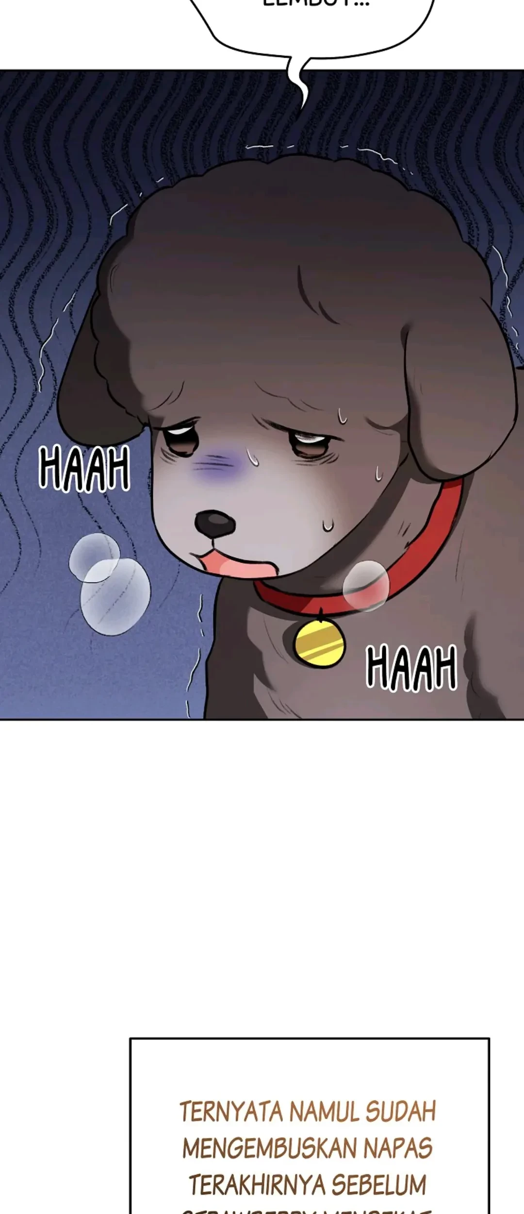 Hello? Veterinarian! Bab 34 halaman 41