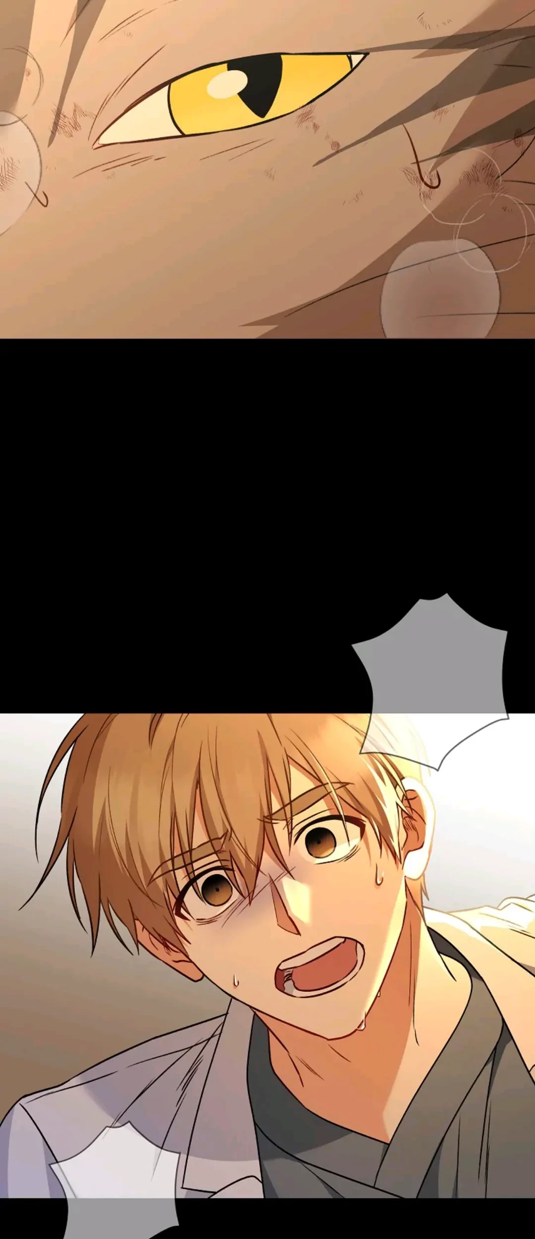 Hello? Veterinarian! chapter 35 halaman 48
