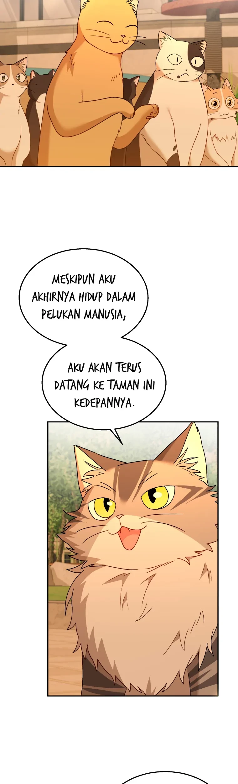 Hello? Veterinarian! Bab 38 halaman 42