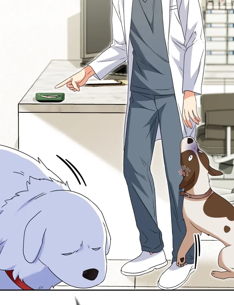 Hello? Veterinarian! Bab 41 halaman 48