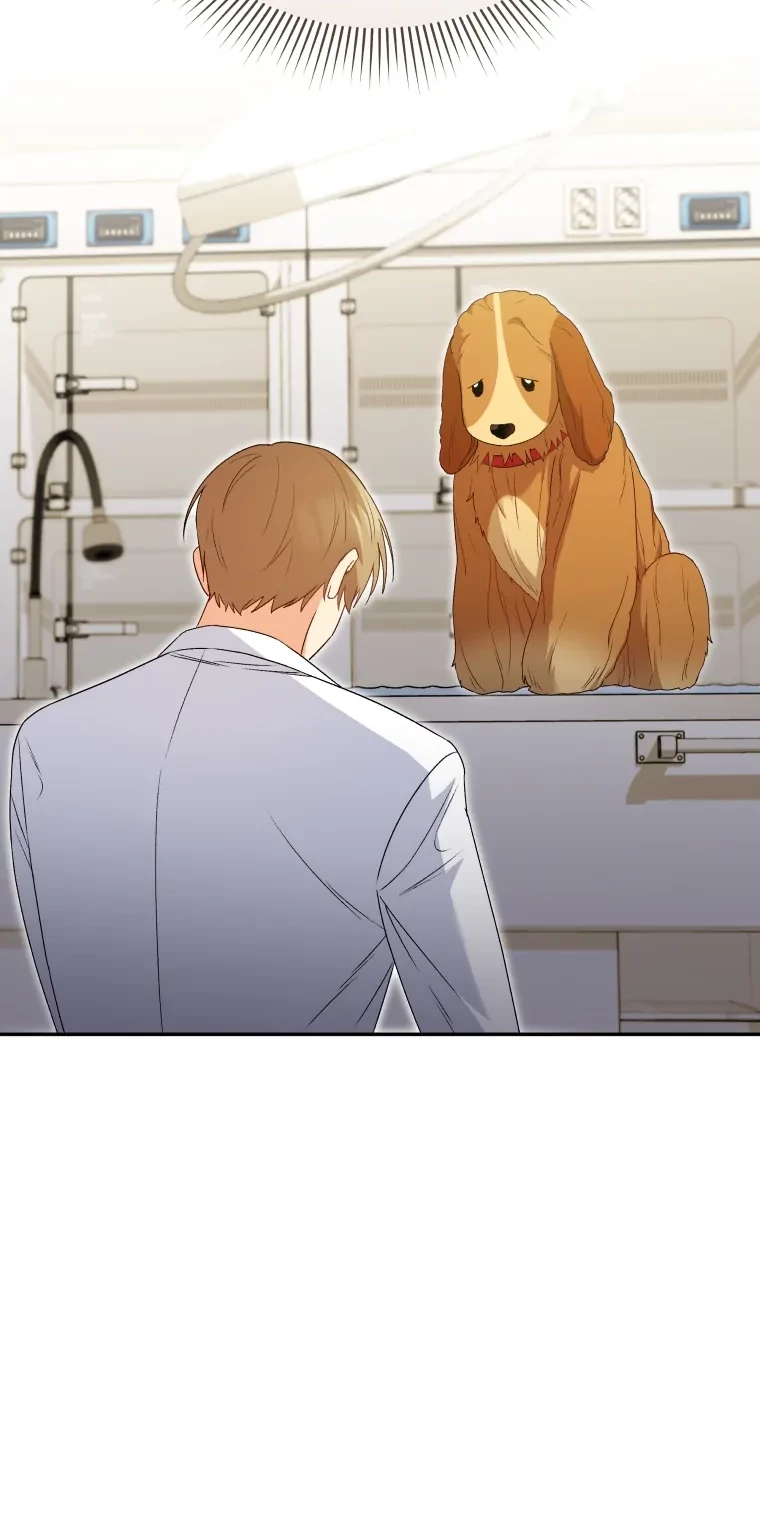Hello? Veterinarian! Bab 43 halaman 28