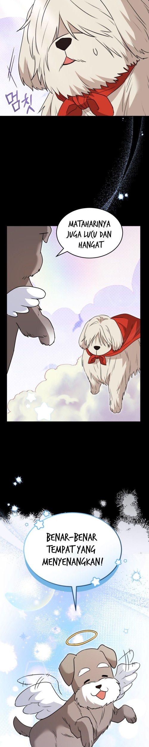 Hello? Veterinarian! chapter 48 halaman 31