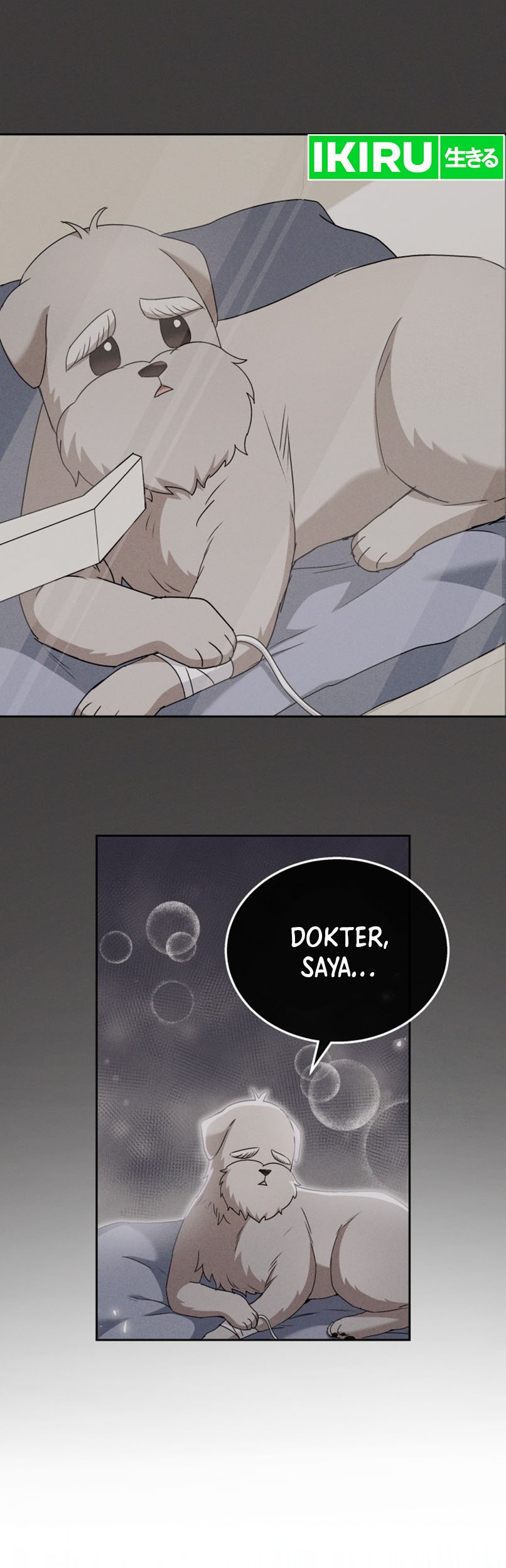 Hello? Veterinarian! Bab 73 halaman 47