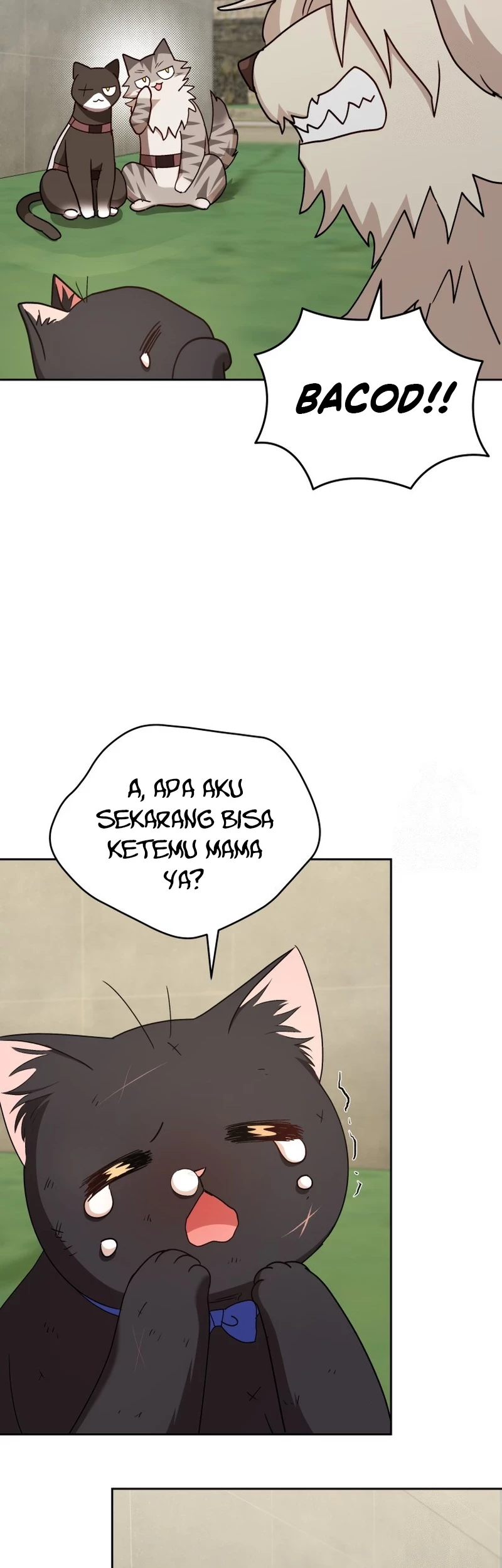 Hello? Veterinarian! chapter 77 halaman 51