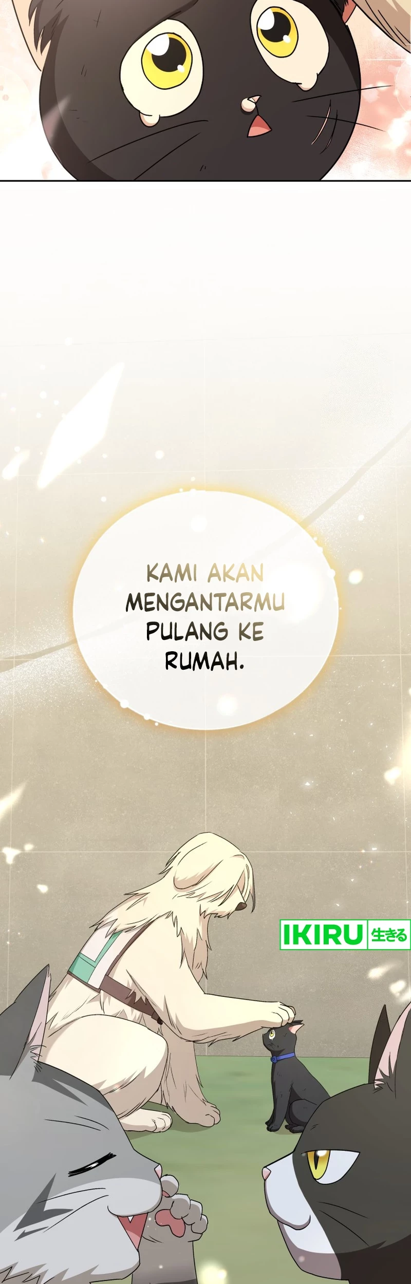 Hello? Veterinarian! chapter 77 halaman 54