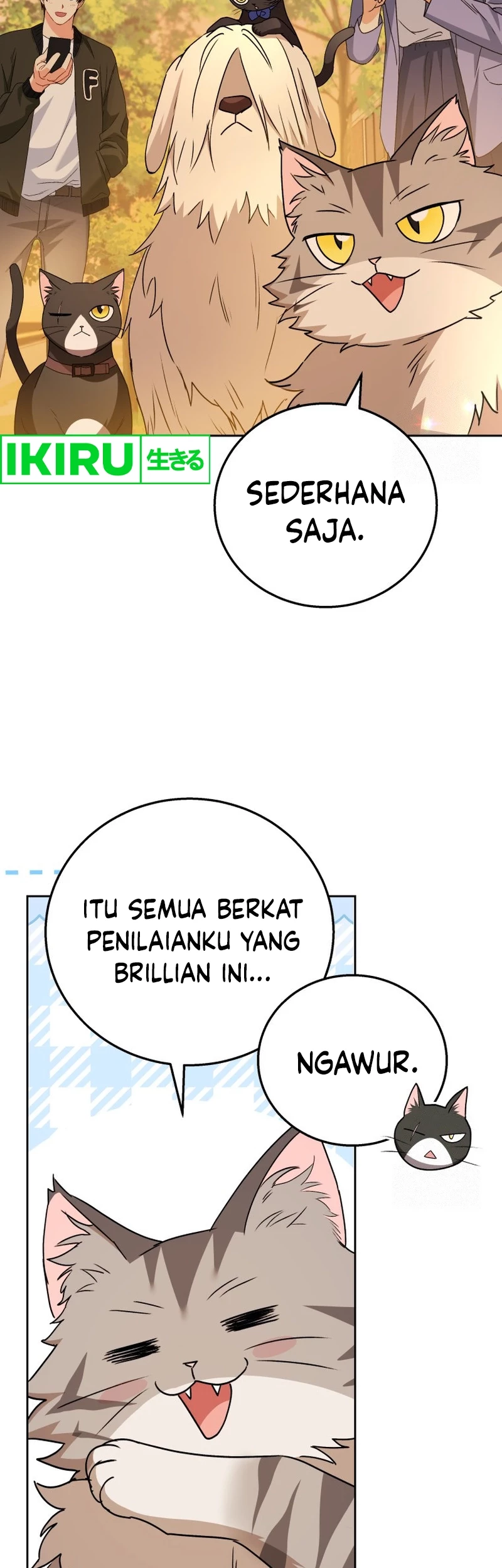 Hello? Veterinarian! Bab 78 halaman 4