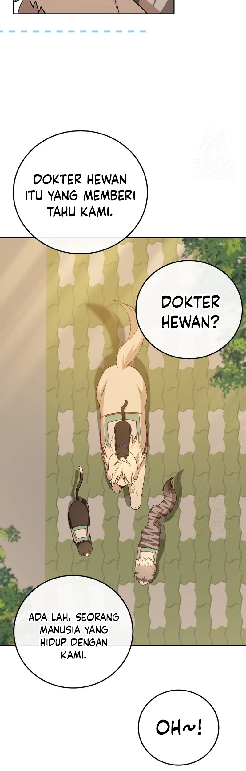 Hello? Veterinarian! Bab 78 halaman 5